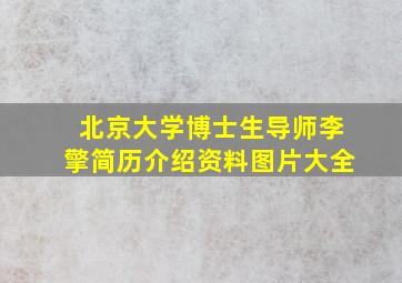 北京大学博士生导师李擎简历介绍资料图片大全