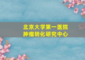 北京大学第一医院肿瘤转化研究中心