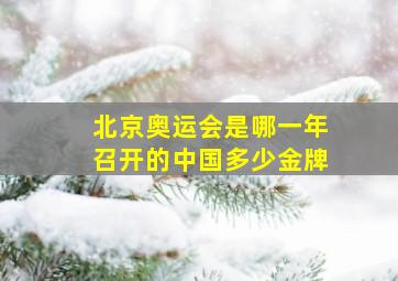 北京奥运会是哪一年召开的中国多少金牌