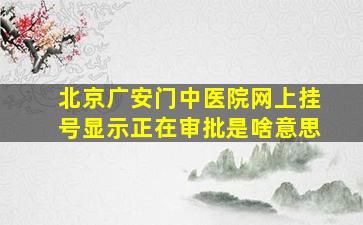 北京广安门中医院网上挂号显示正在审批是啥意思