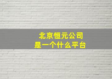 北京恒元公司是一个什么平台