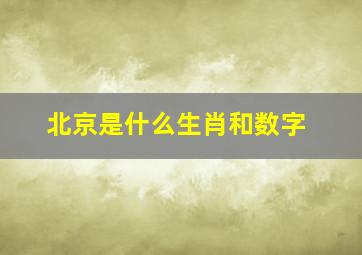 北京是什么生肖和数字