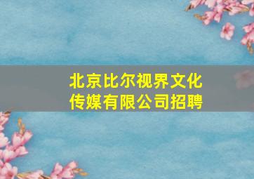 北京比尔视界文化传媒有限公司招聘