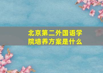 北京第二外国语学院培养方案是什么