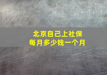 北京自己上社保每月多少钱一个月