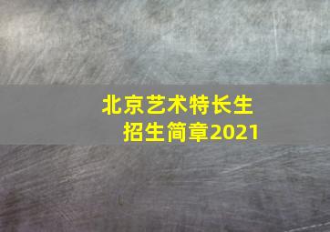 北京艺术特长生招生简章2021