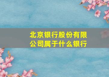 北京银行股份有限公司属于什么银行