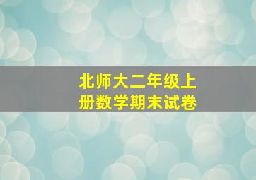 北师大二年级上册数学期末试卷