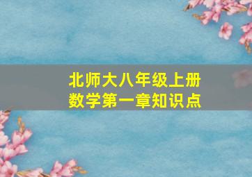 北师大八年级上册数学第一章知识点