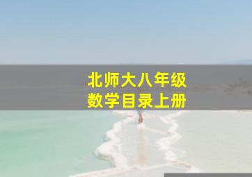 北师大八年级数学目录上册