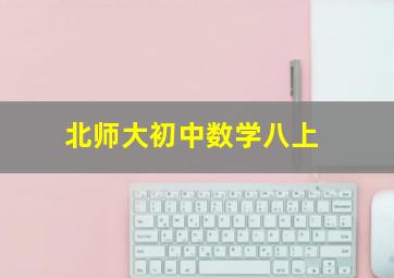 北师大初中数学八上