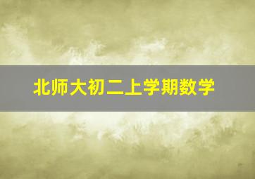 北师大初二上学期数学