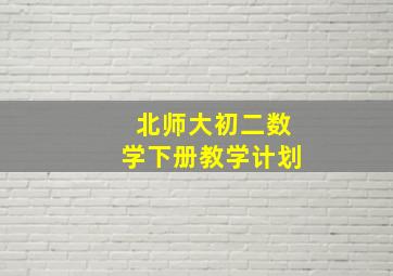 北师大初二数学下册教学计划