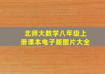 北师大数学八年级上册课本电子版图片大全