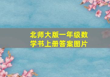 北师大版一年级数学书上册答案图片