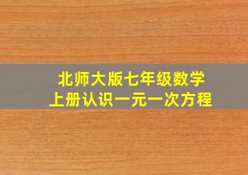 北师大版七年级数学上册认识一元一次方程