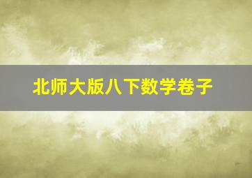 北师大版八下数学卷子