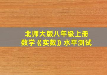 北师大版八年级上册数学《实数》水平测试