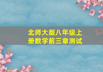 北师大版八年级上册数学前三章测试