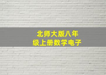 北师大版八年级上册数学电子