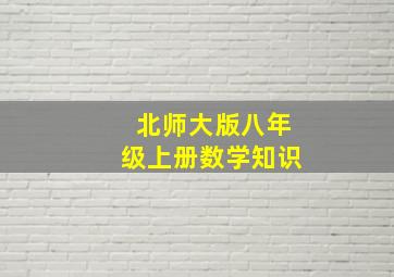 北师大版八年级上册数学知识