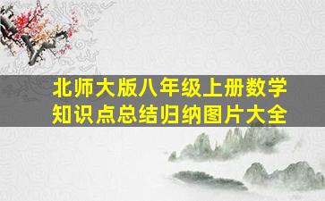 北师大版八年级上册数学知识点总结归纳图片大全