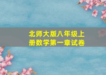 北师大版八年级上册数学第一章试卷