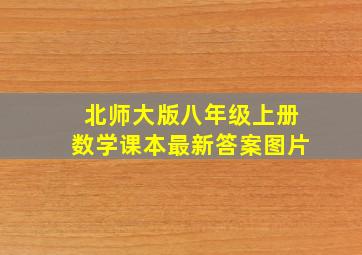 北师大版八年级上册数学课本最新答案图片