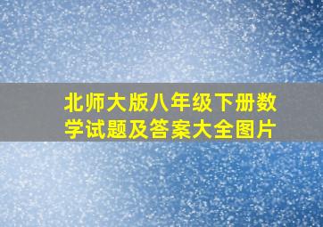 北师大版八年级下册数学试题及答案大全图片