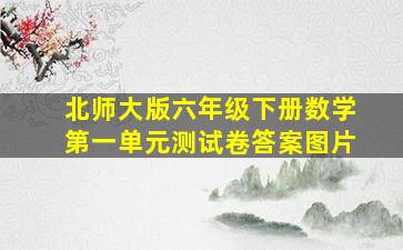 北师大版六年级下册数学第一单元测试卷答案图片