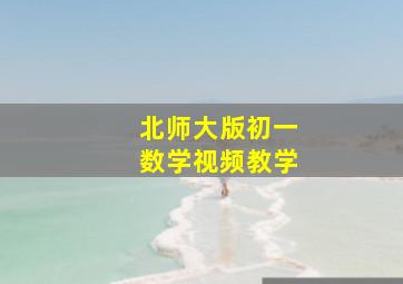 北师大版初一数学视频教学