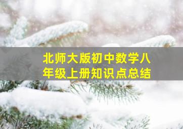 北师大版初中数学八年级上册知识点总结