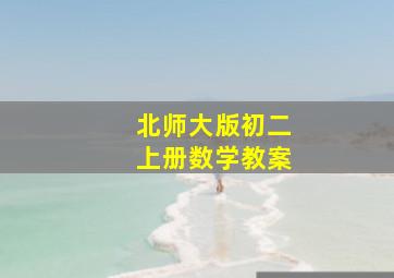 北师大版初二上册数学教案