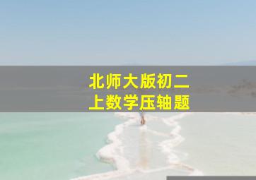 北师大版初二上数学压轴题