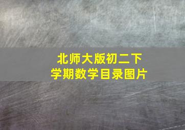 北师大版初二下学期数学目录图片