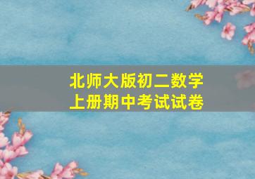 北师大版初二数学上册期中考试试卷