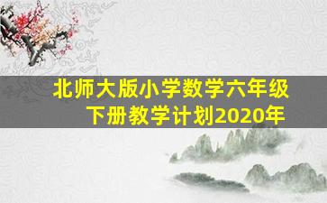 北师大版小学数学六年级下册教学计划2020年