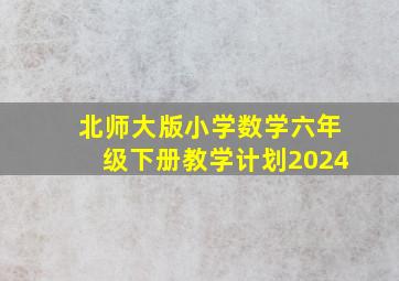 北师大版小学数学六年级下册教学计划2024