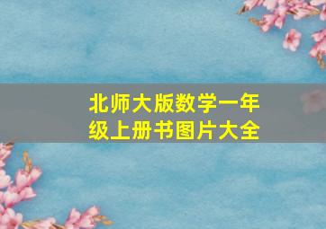 北师大版数学一年级上册书图片大全