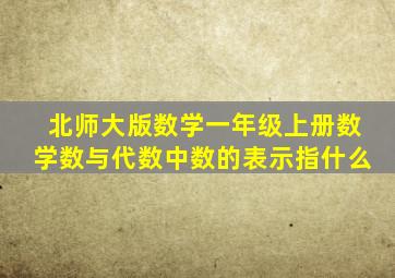 北师大版数学一年级上册数学数与代数中数的表示指什么