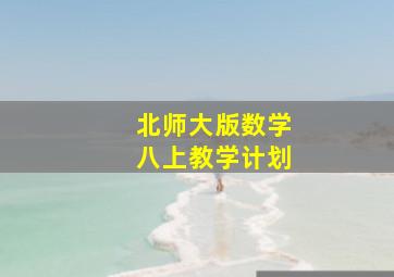 北师大版数学八上教学计划