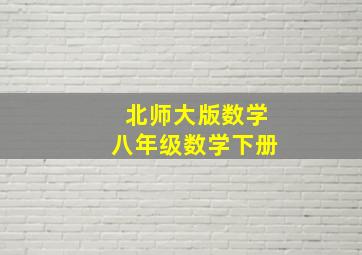 北师大版数学八年级数学下册