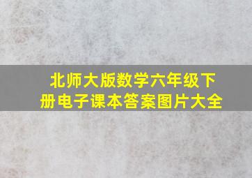 北师大版数学六年级下册电子课本答案图片大全