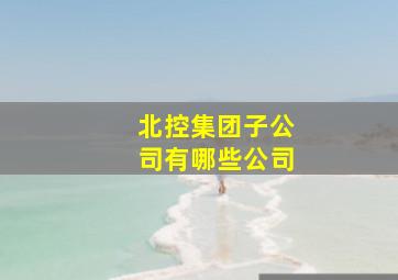 北控集团子公司有哪些公司