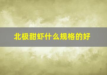 北极甜虾什么规格的好