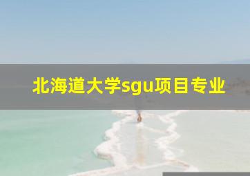 北海道大学sgu项目专业