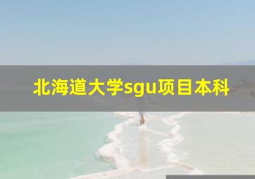 北海道大学sgu项目本科