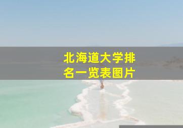 北海道大学排名一览表图片