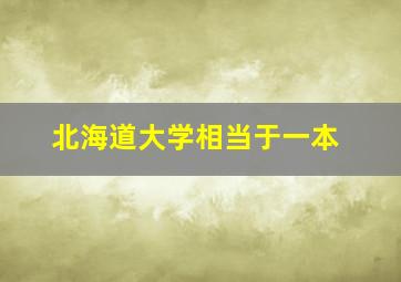 北海道大学相当于一本