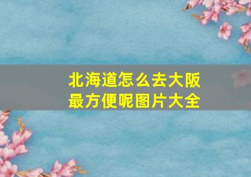 北海道怎么去大阪最方便呢图片大全